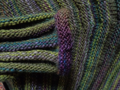  Tangerine Rose by Sandra McIver 