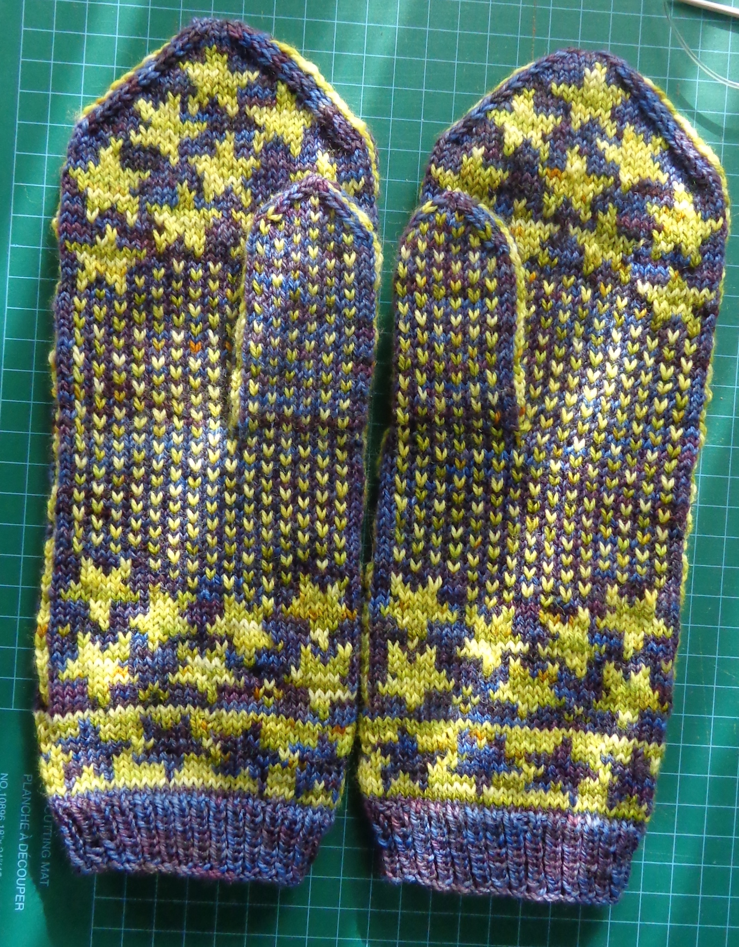 Stargazer Mittens by Natalia Moreva knitted in Lichen & Lace 80/20 Sock by Deborah Cooke