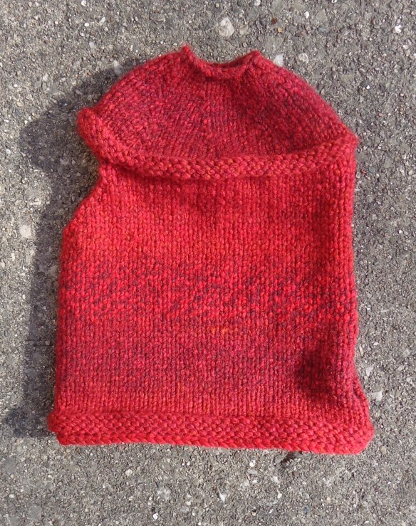 Rogue Java Ninja knit by Deborah Cooke in Red Heart Gemstone