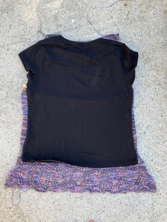 Caitlin Hunter's Tegna knit by Deborah Cooke in Koigu KPPPM